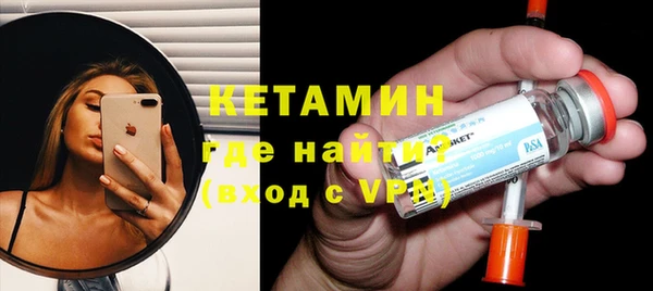 сатива Верея