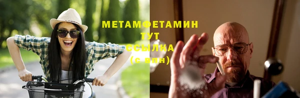 сатива Верея