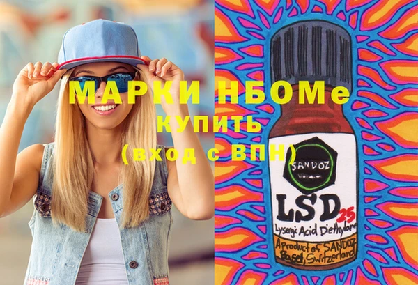 сатива Верея