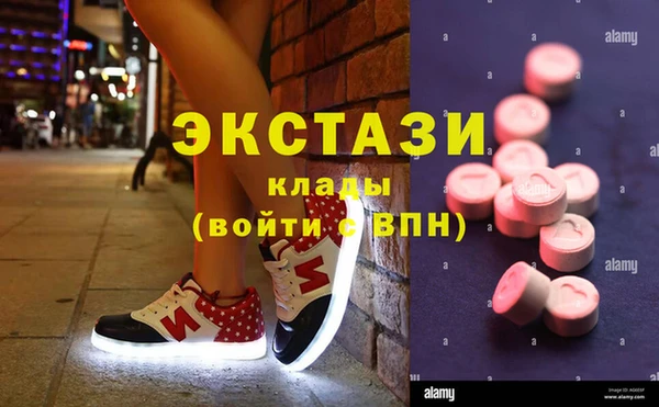 сатива Верея