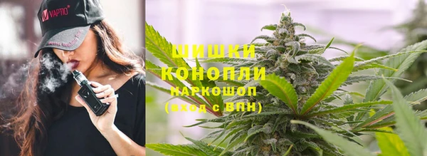 сатива Верея