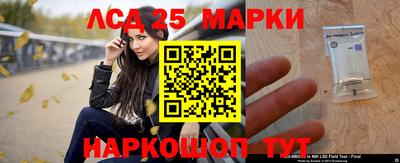 МДПВ Гусев