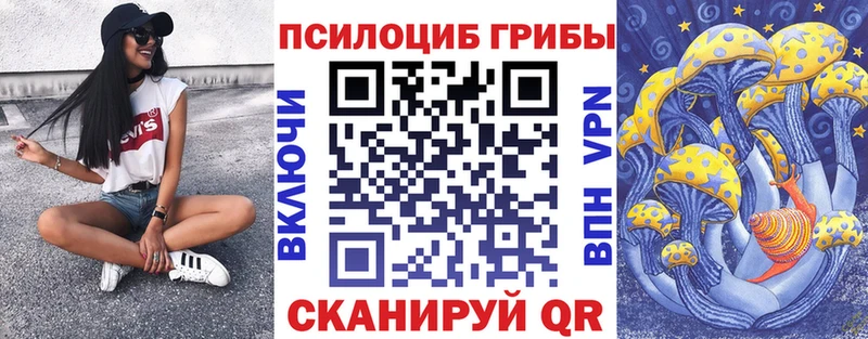 как найти закладки  Мичуринск  mega   Псилоцибиновые грибы MAGIC MUSHROOMS 