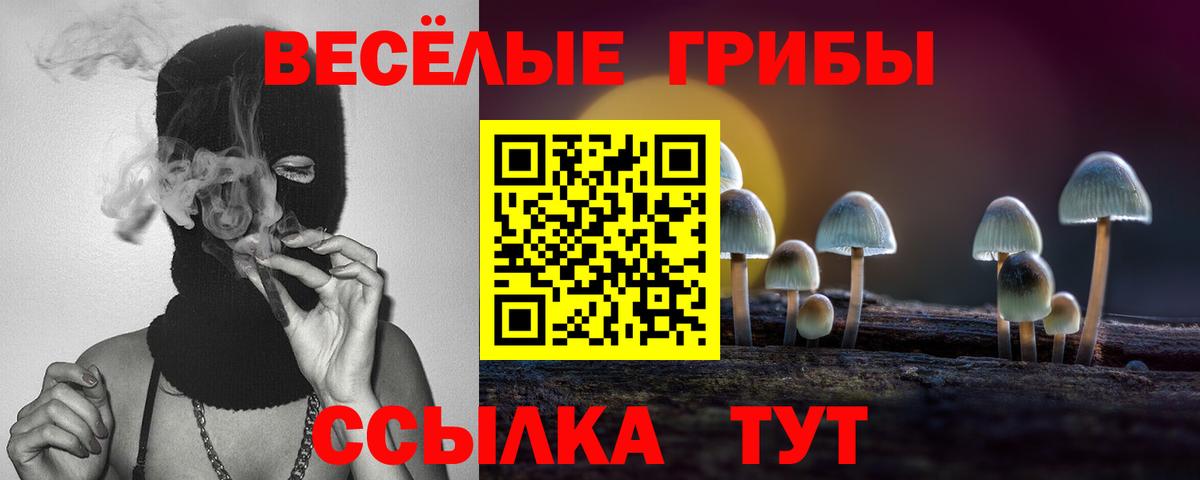 закладки  Вход с VPN  Мичуринск  Галлюциногенные грибы мицелий 